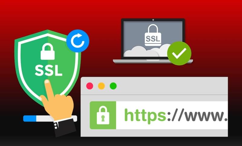 Standard SSL (Wildcard)